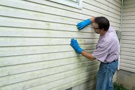 Best Insulated Siding Installation  in Bemidji, MN